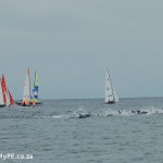 Dolhin and Hobie start