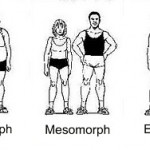 Mesomorph's, ectomorph's and endomorph's