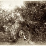 Howard Mapplebeck