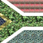 Giant SA flag will be visible from space