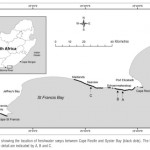 Stromatolite Location