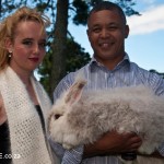 Angora Rabbit Fibre