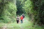 Langebos Forest Walk