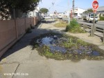 Scruffy Swartkops Pavement