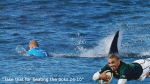 Mick Fanning Shark Attack Habana