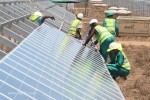 11011 Solar Panels