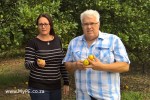Plundered Lemon Orchard