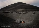 16-60: Berni Serle - Seeking Refuge