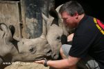Care for Wild Africa