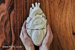 Journey of the Heart