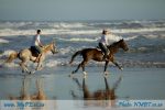 Horseback Riding