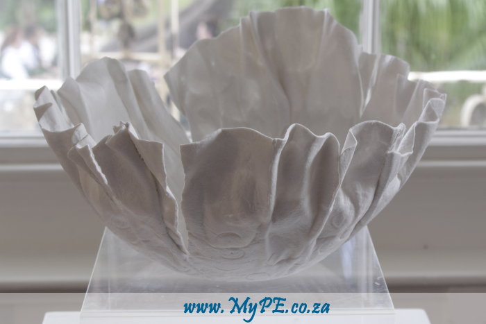 Mellaney Ruiters - Bowl