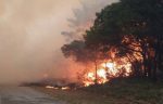 Port Elizabeth Fire