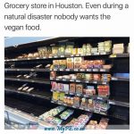 Vegetarian