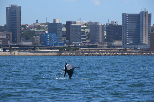 Algoa Bay