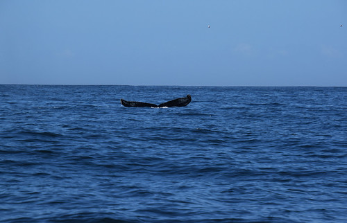 Algoa Bay