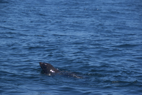 Algoa Bay