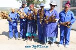 Balfour Tobacco Farmers
