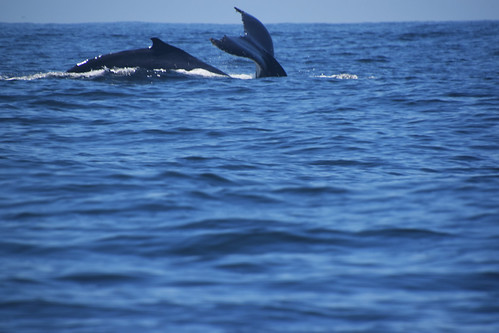 Algoa Bay