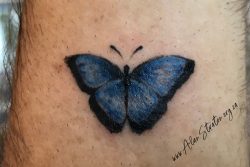 AWS Butterfly Tattoo