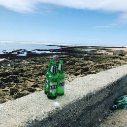 Beachfront Litter