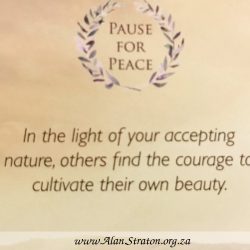 Pause for Peace