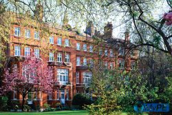Draycott Hotel