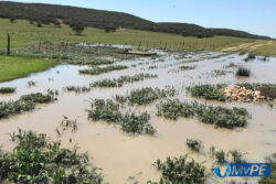 Ward 60 Water Leak