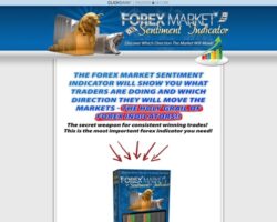 Forex Market Sentiment