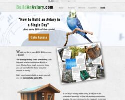 How to Build An Aviary