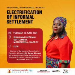 Cllr Zanele Sikawuti