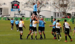 Bulls v Boland